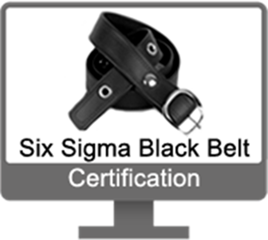 Take our Black Belt Training Program and earn your Black Belt Certificate. Completely on-line. Fully accredited. Earn 55 PMI units