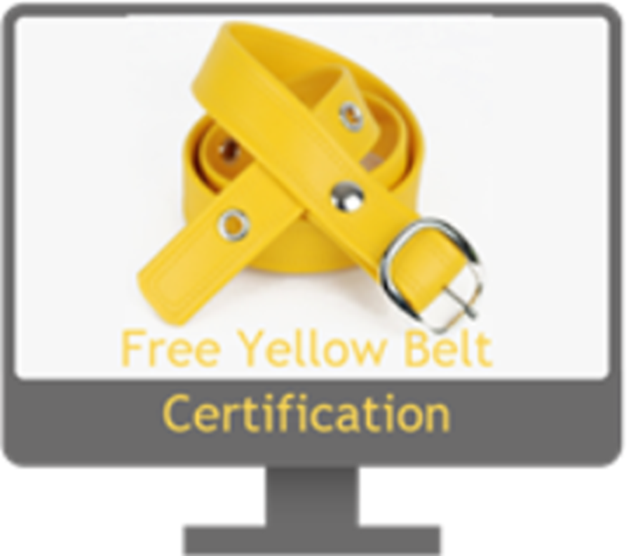 Take our Free Six Sigma Training. Get Yellow Belt Certified. Earn 8 PMI Units. Completely On-Line.