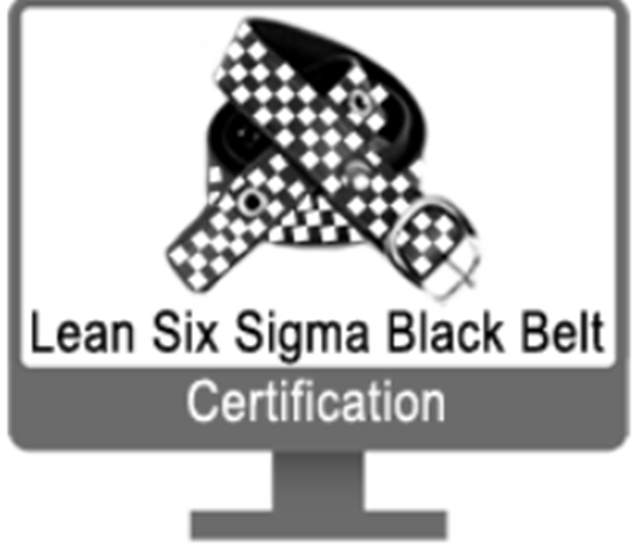 Acquire your Lean Six Sigma Black Belt Certification. Completely on-line. Fully accredited. Earn 55 PMI units