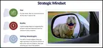 How to develop a strategic mindset in your business.  The relationship between strategy, common sense, and clear thinking.