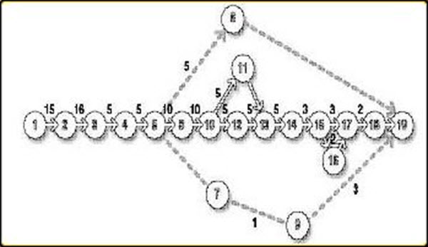 Network Activity Chart